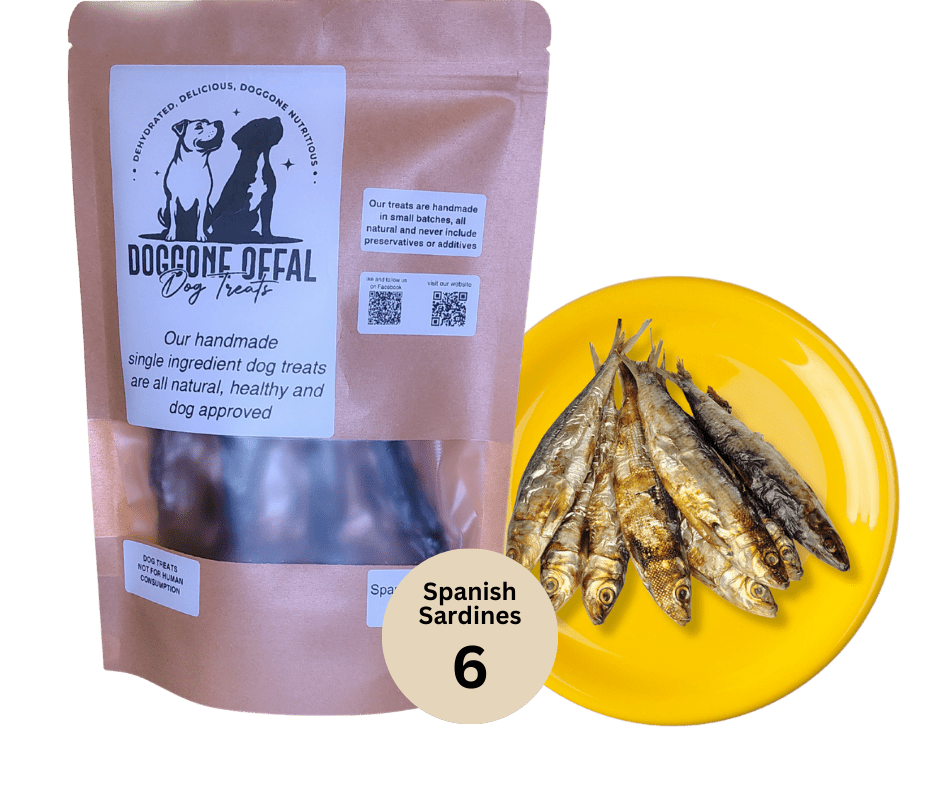 Doggone Offal Spanish Sardine Treats 6oz